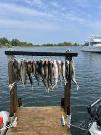 Harrisville Report Photo 1