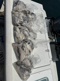 Salem Report Photo 2