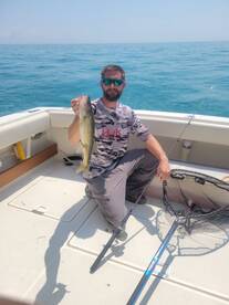 St. Clair Shores Report Photo 2