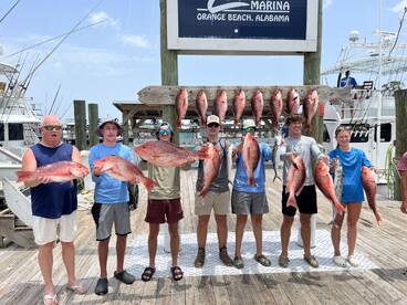 Orange Beach Report Photo 2