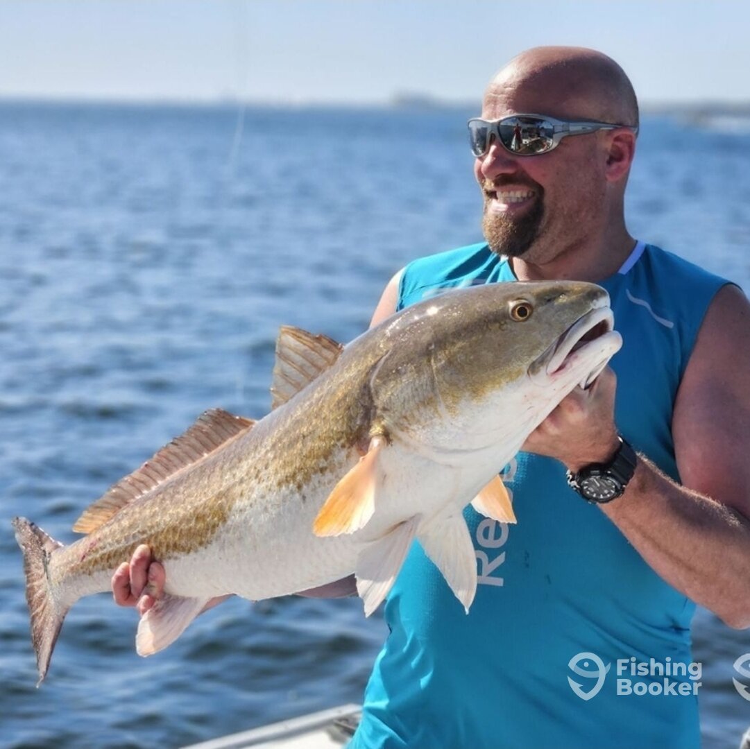 Panama City Beach Report Photo 0