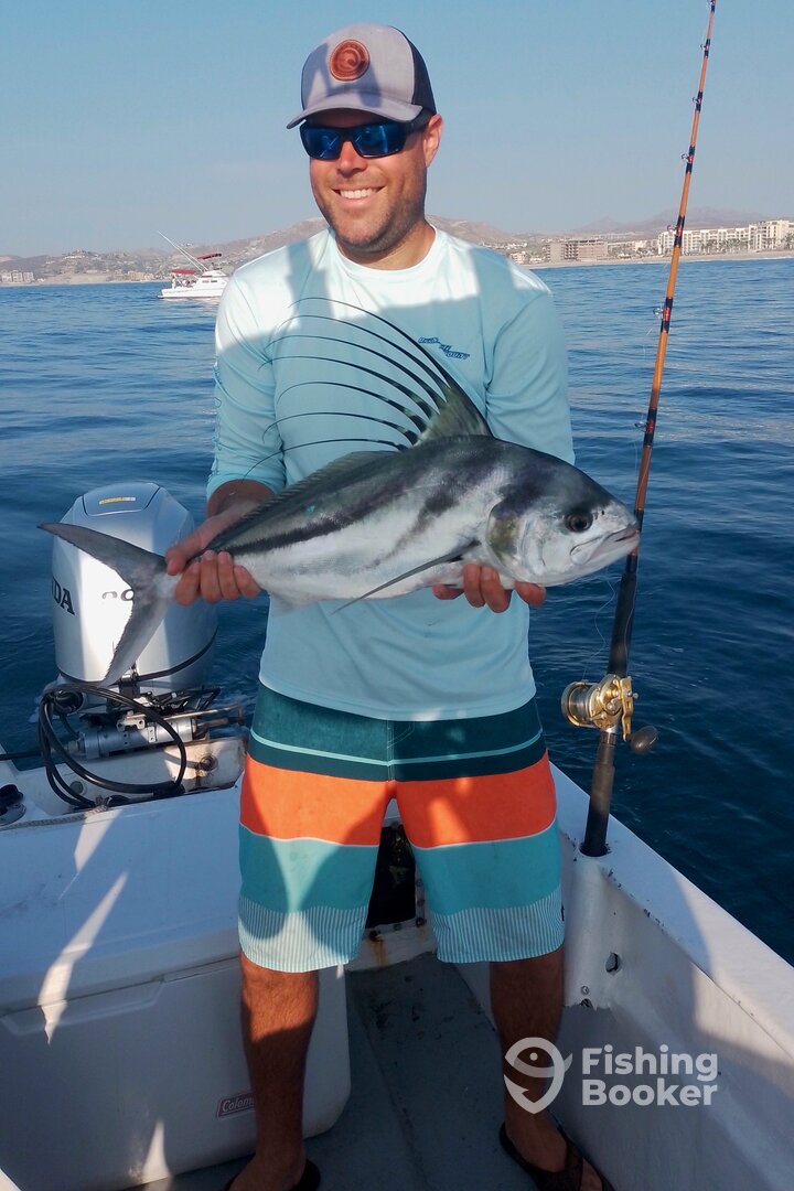San Jose del Cabo Report Photo 0
