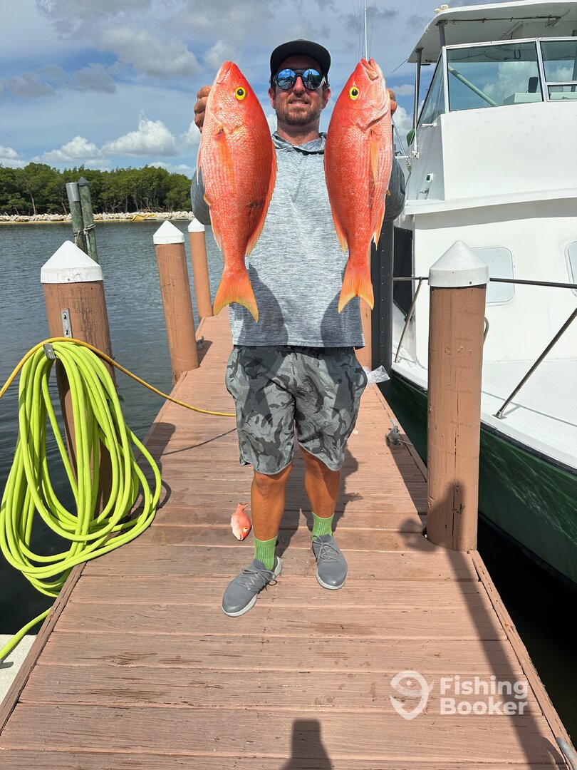 Dania Beach Report Photo 0