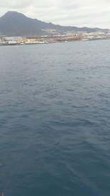 Costa Adeje Report Photo 1