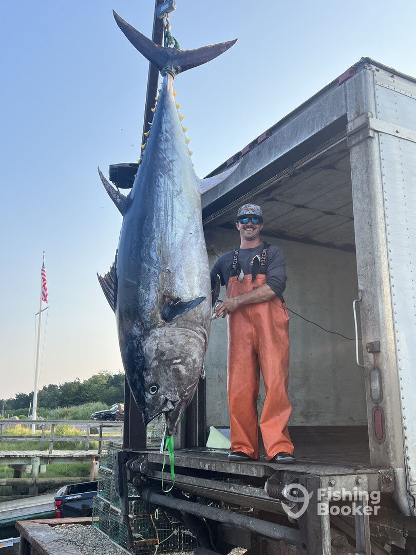 Dennis Report Photo 0