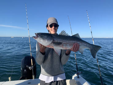 Quincy Report Photo 4