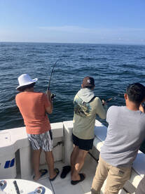 New York City Report Photo 1