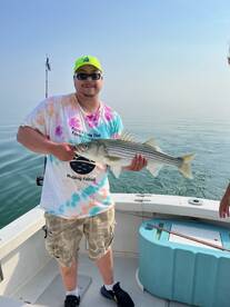 Dennis Report Photo 2