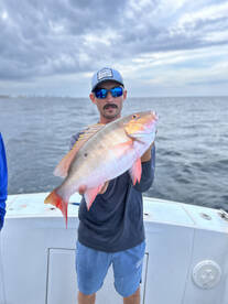 Yellow tail snapper, mutton snapper, and