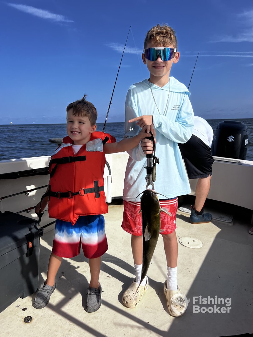 Bellevue Report Photo 0