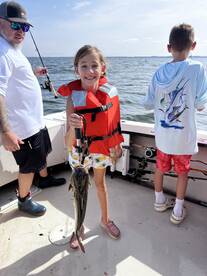 Bellevue Report Photo 2