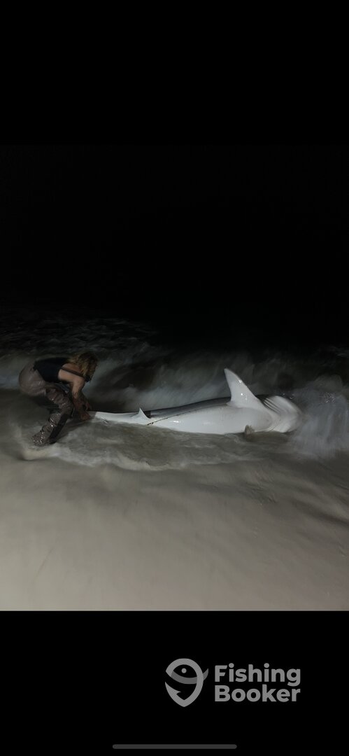 Destin Report Photo 0