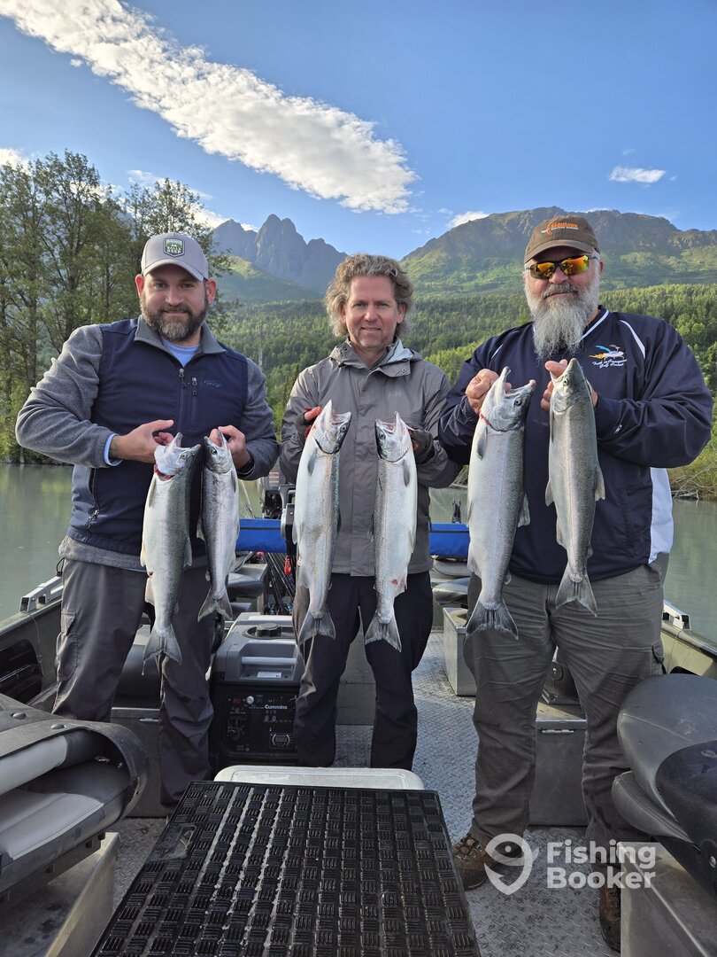 Palmer Report Photo 0