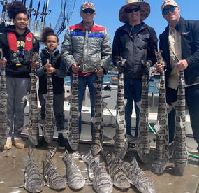 Wide open shark fishing for todays group