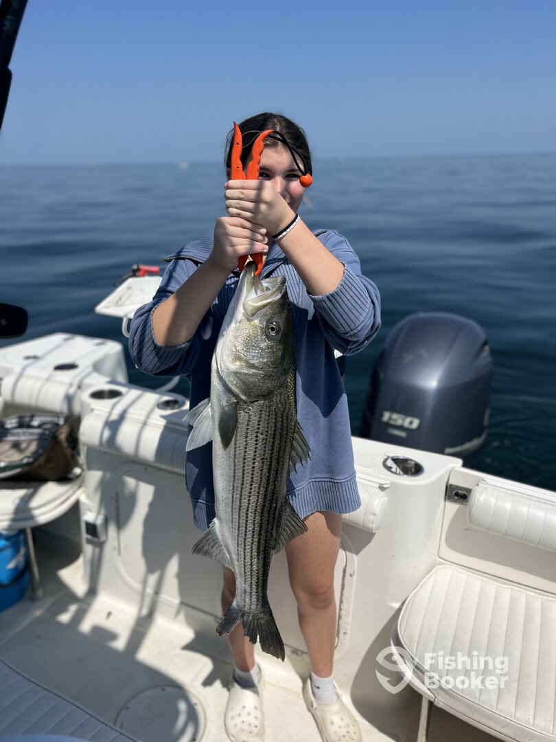 Dennis Report Photo 0