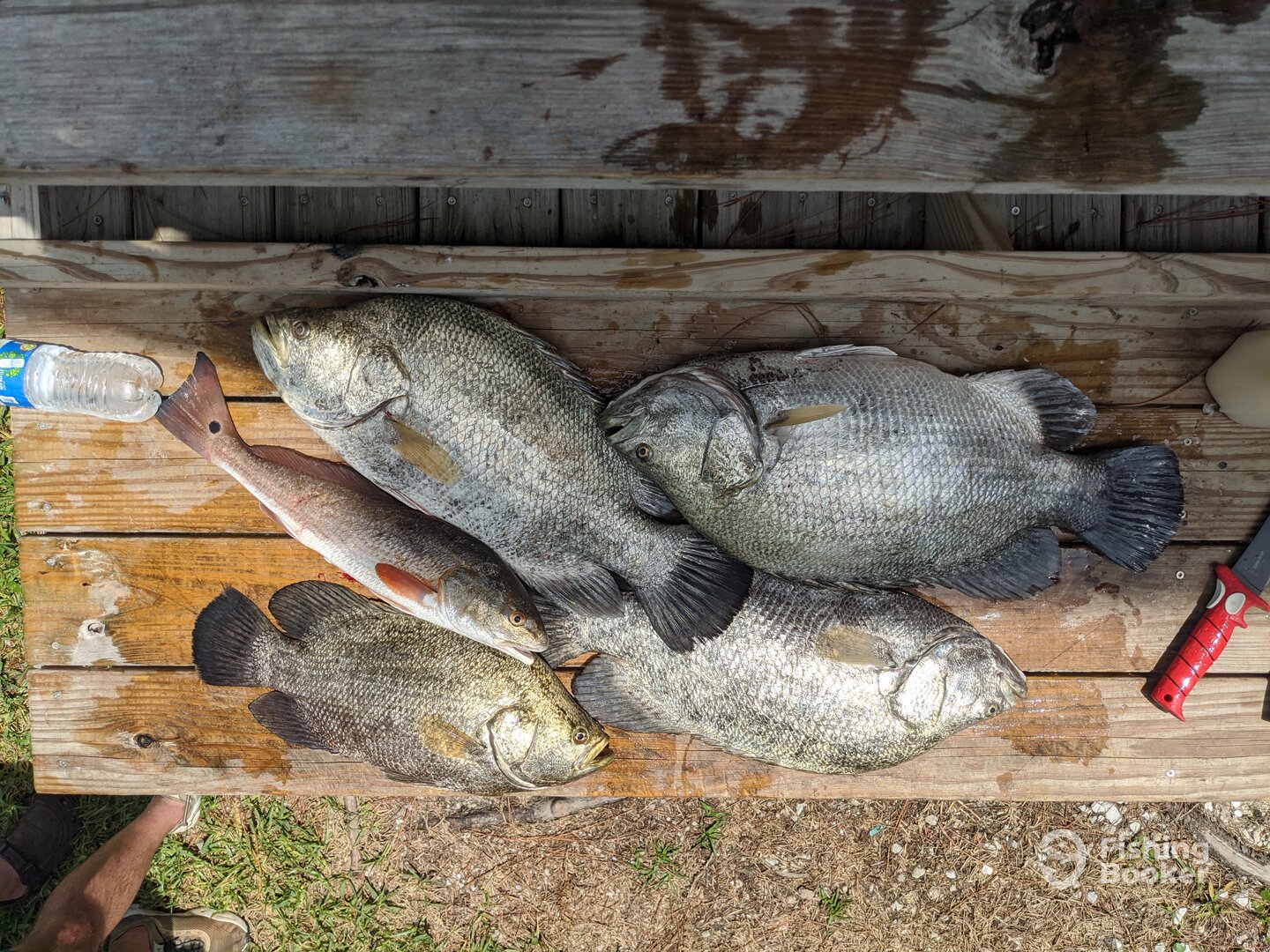 Eastpoint Report Photo 0