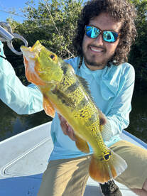 Toa Alta Report Photo 2