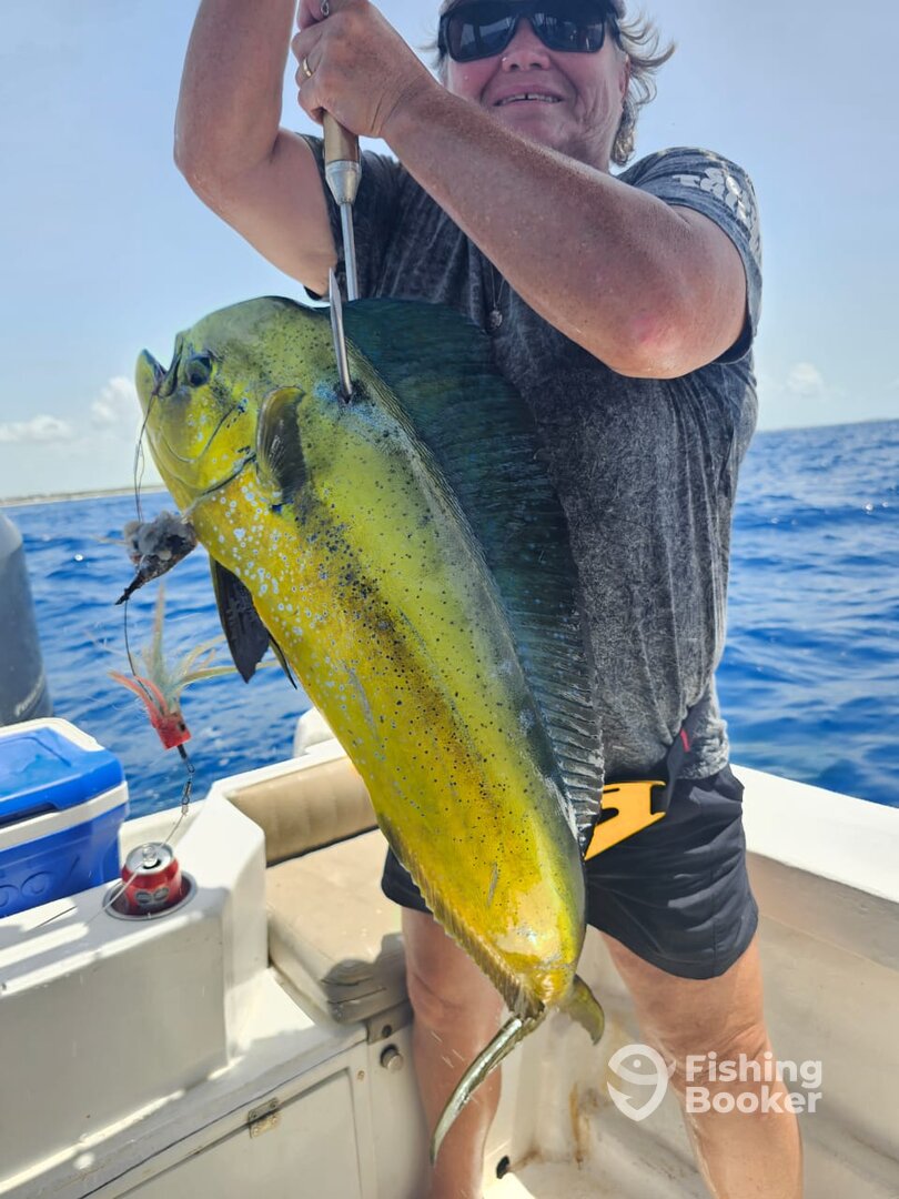 Playa Del Carmen Report Photo 0