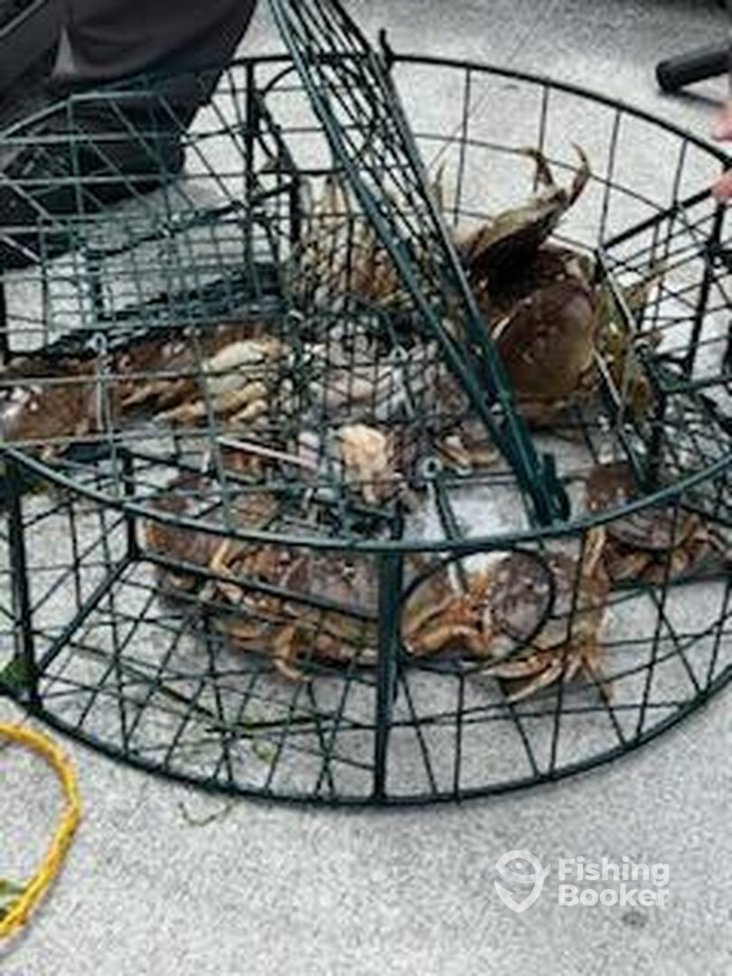 Lincoln City Report Photo 0