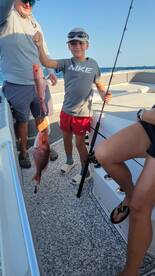 Shalimar Report Photo 1