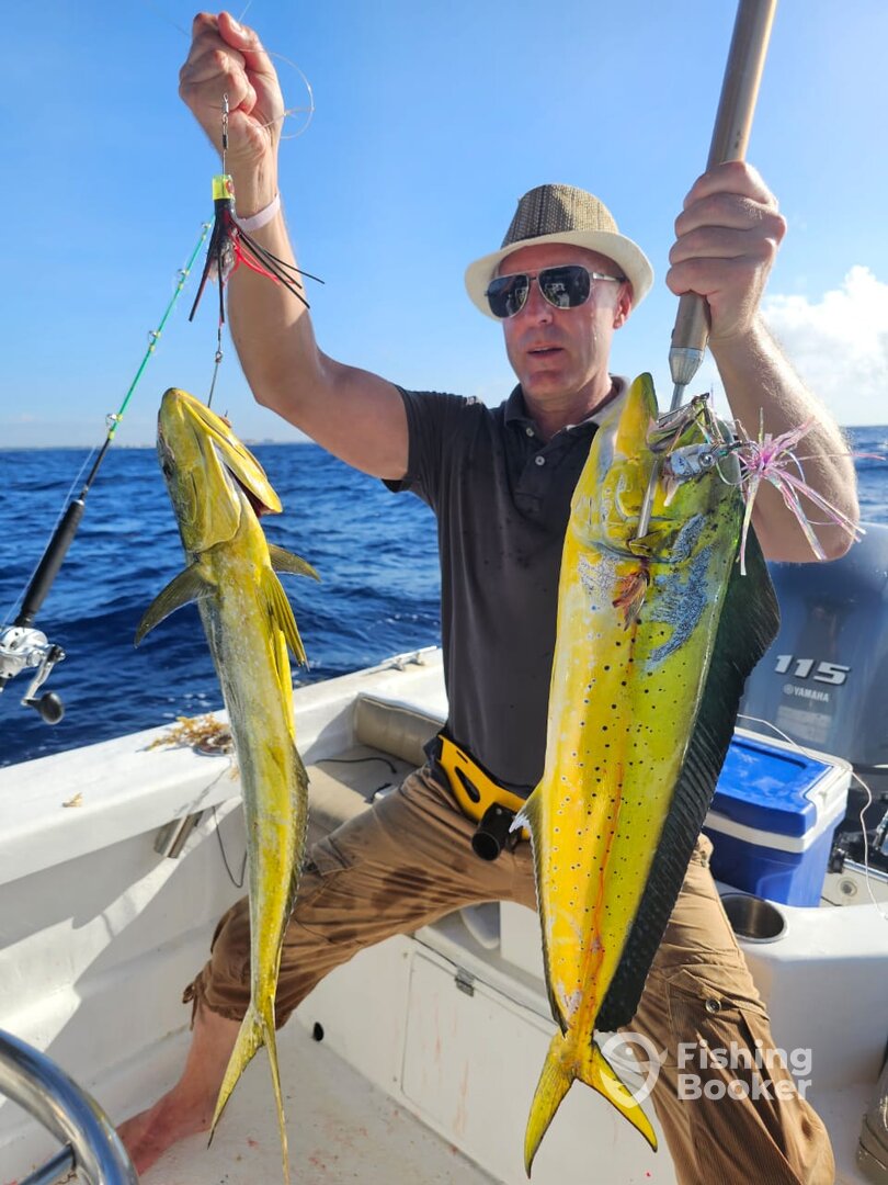 Playa Del Carmen Report Photo 0