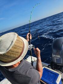 Playa Del Carmen Report Photo 1