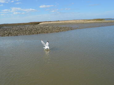 St. Augustine Report Photo 2