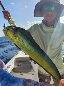 Playa Del Carmen Report Photo 2