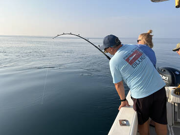 Bluefin Tuna success