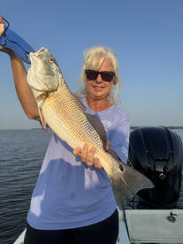 REDFISH and BLACK DRUM