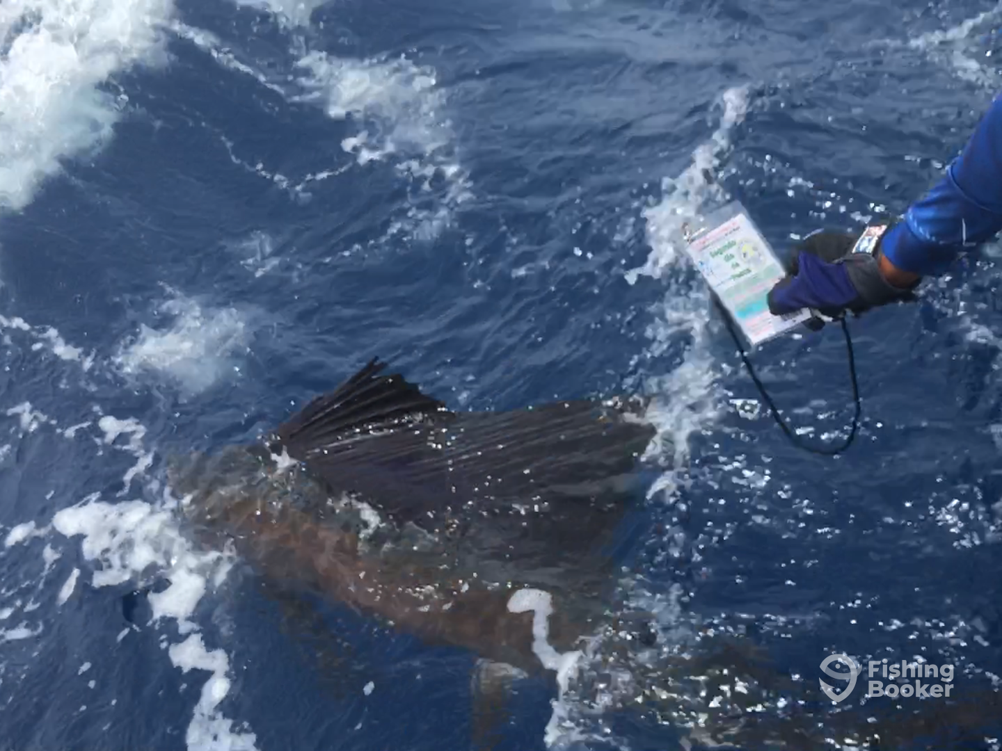 Puerto Aventuras Report Photo 0