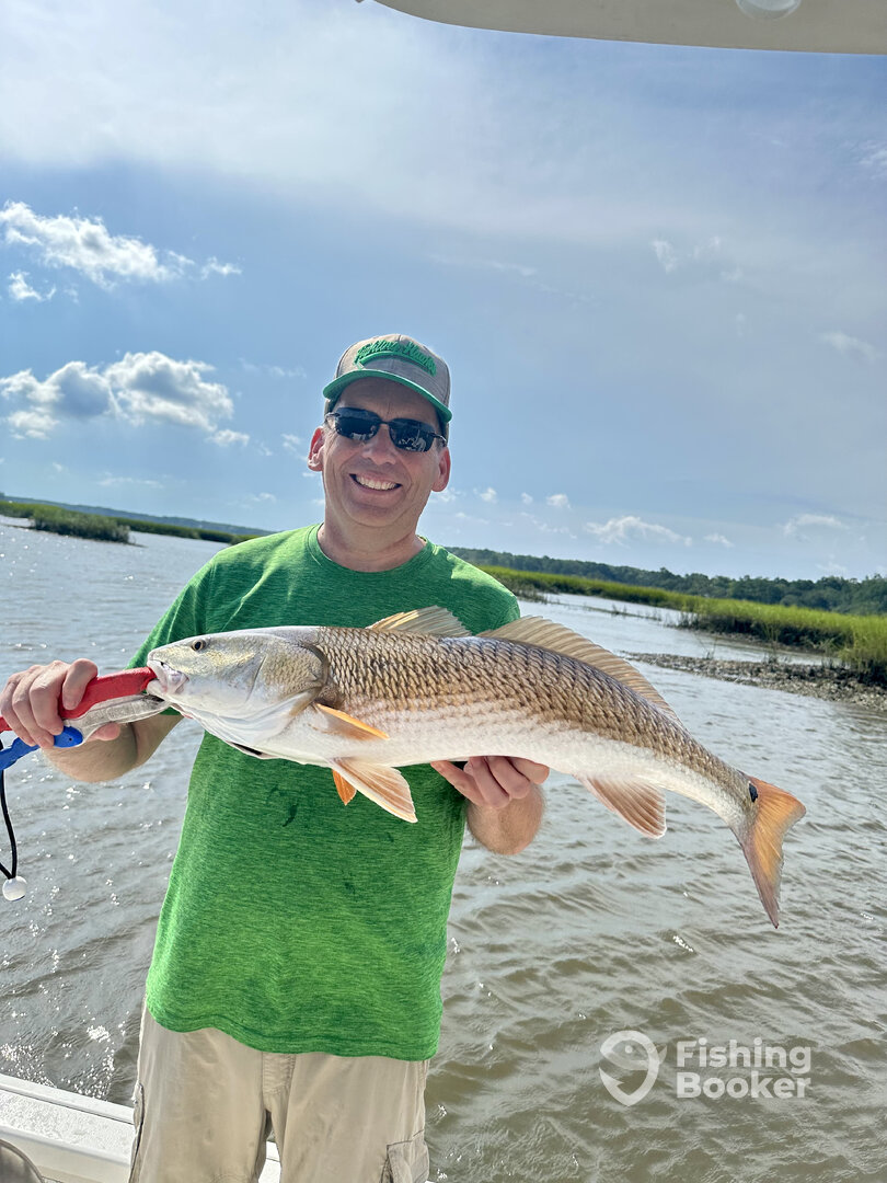 Mount Pleasant Report Photo 0