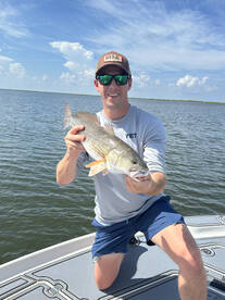 St. Bernard Report Photo 1