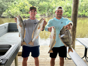 St. Bernard Report Photo 2