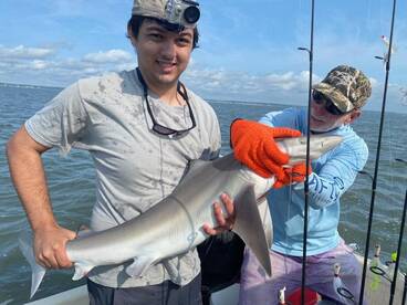 Chincoteague Report Photo 1