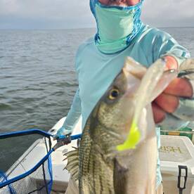 West Tawakoni Report Photo 1