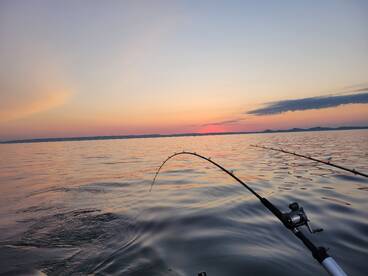 Ludington Report Photo 2