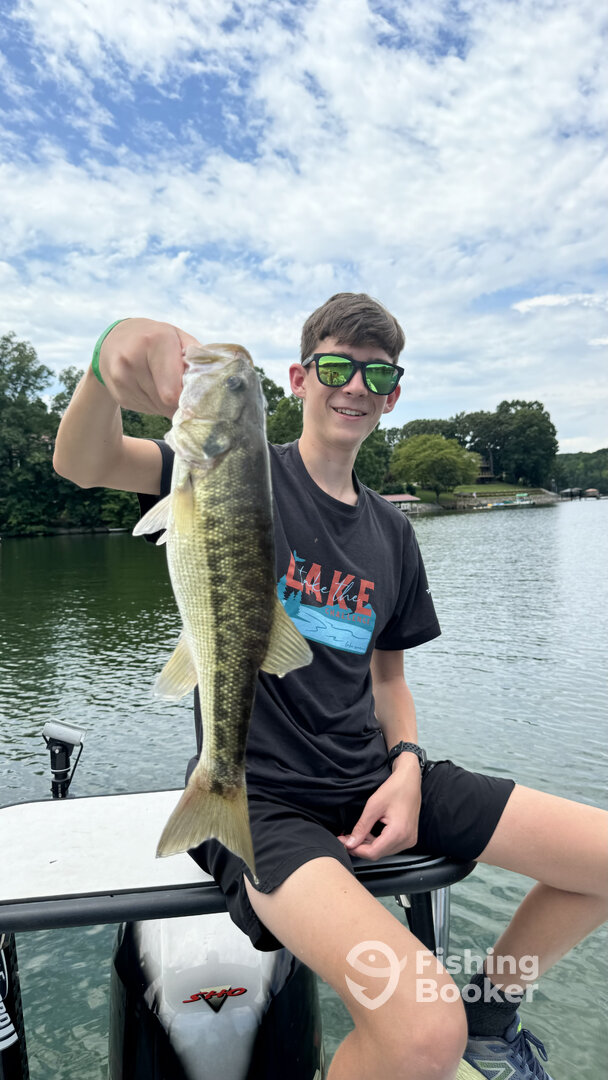 Crystal River Report Photo 0