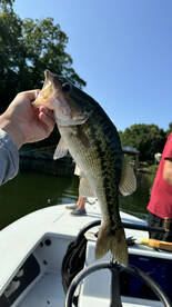 Crystal River Report Photo 2