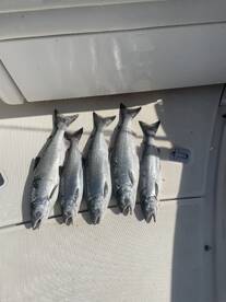 Thursday August 8th. 