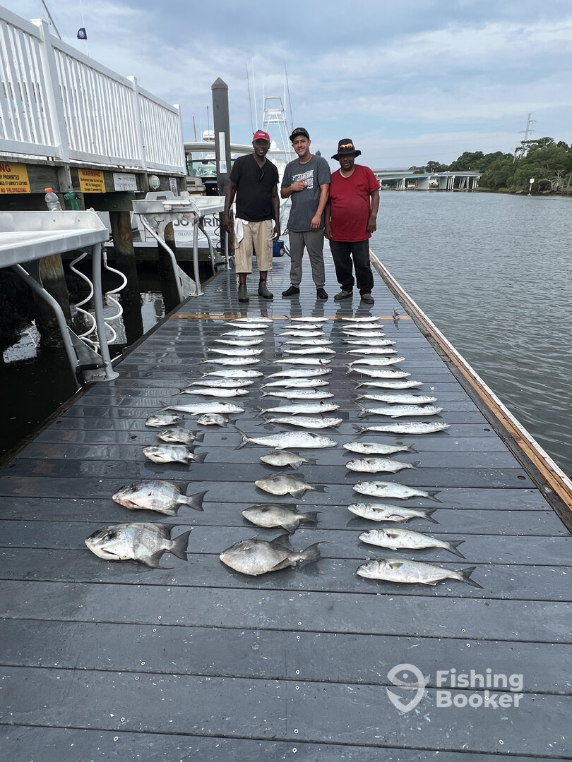 Virginia Beach Report Photo 0