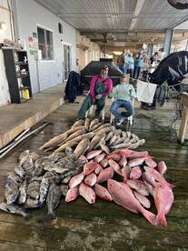 Venice Report Photo 2