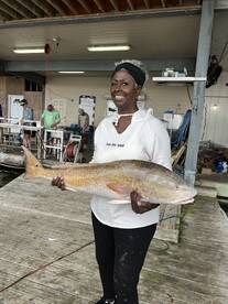 Venice Report Photo 1