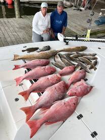 Venice Report Photo 1