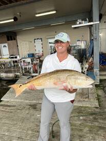 Venice Report Photo 2