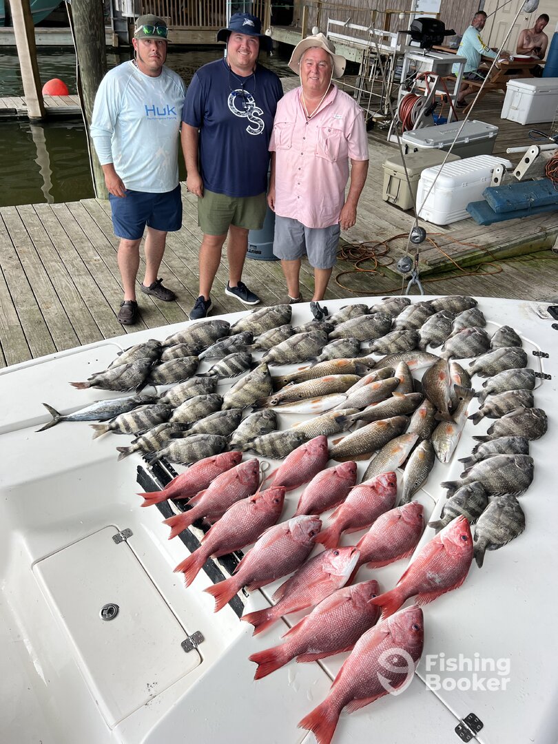 Venice Report Photo 0