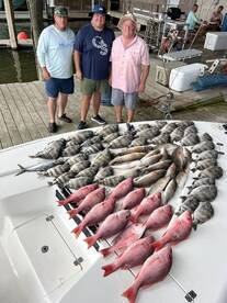 T & T filling the box combos again