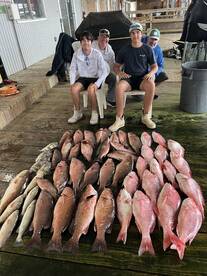 Venice Report Photo 2