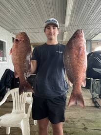 Mangrove snapper/ Red Snappe combos