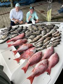 Venice Report Photo 1